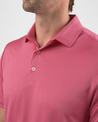 Maxxing Polo
