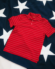 Striped It Polo